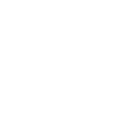 vnz66