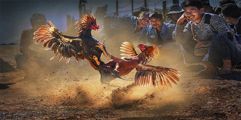 vnz66 xổ số bữa nay