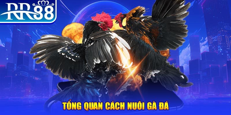 vnz66 game nổ hũ rút tiền mặt là gì