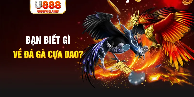 vnz66 SW Xổ Số