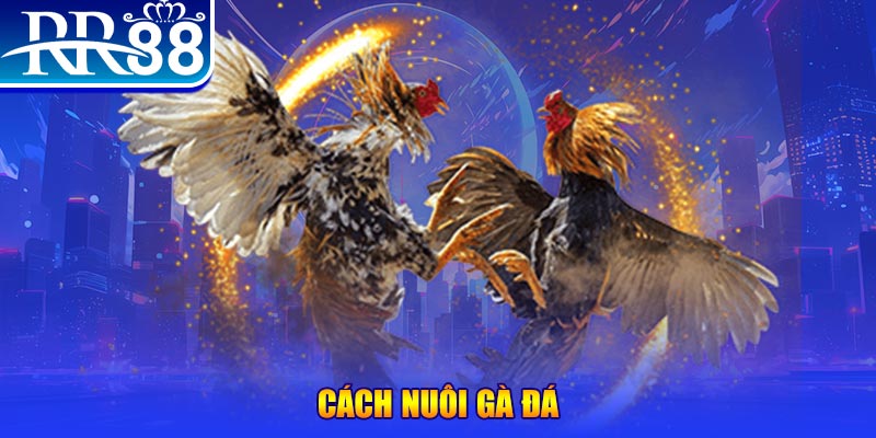 vnz66 đăng nhập phỏm đổi thưởng