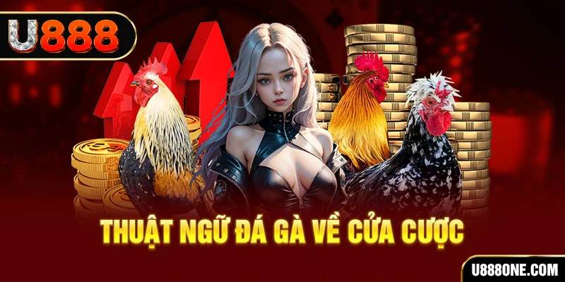 vnz66 hơn cả bạn bè
