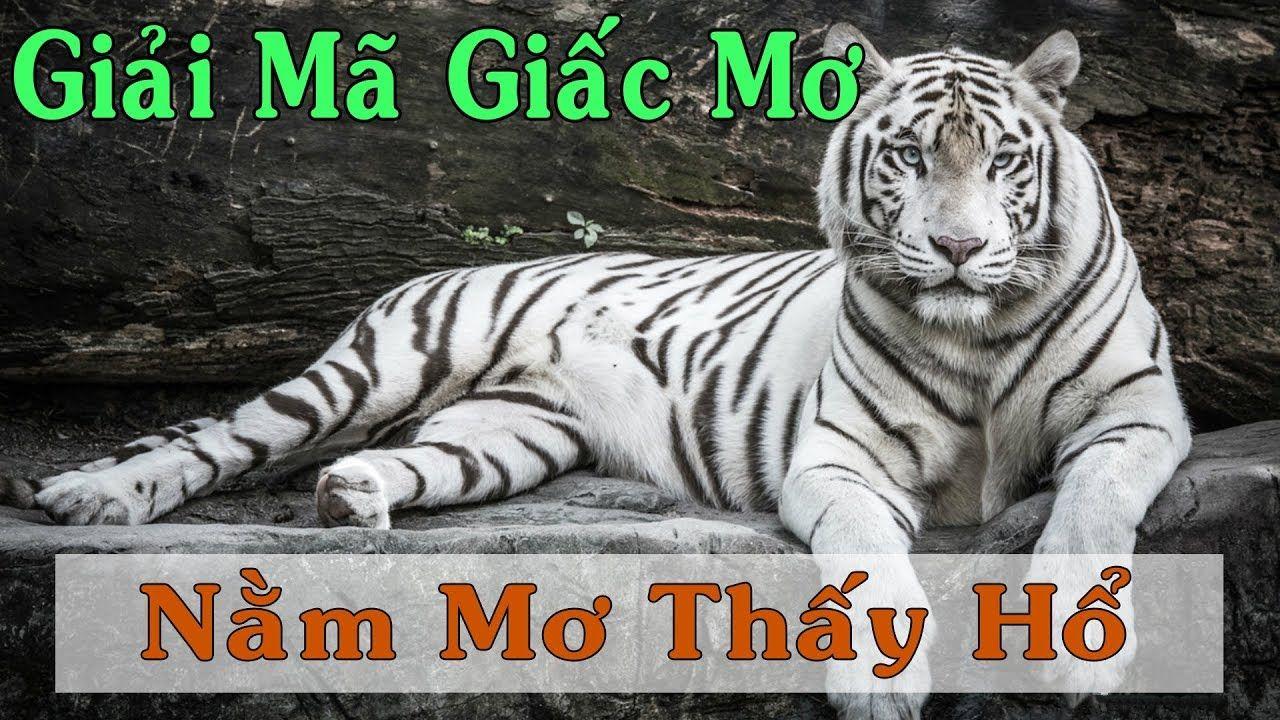 vnz66 nổ hũ là game gì
