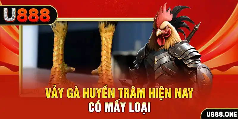 vnz66 xổ số bình định