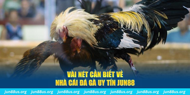 vnz66 đăng nhập phỏm khuyến mãi