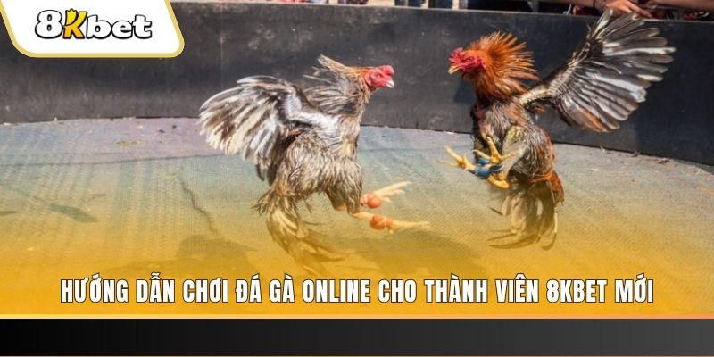 vnz66 JILI Game Bài 3d