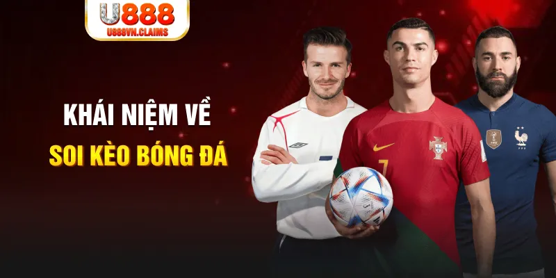 vnz66 xổ số cần thơ