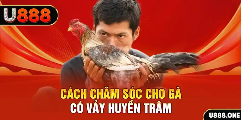 vnz66 bắn cá xèng 3