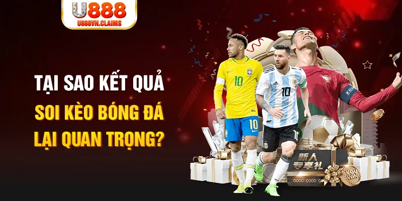vnz66 Tôm Cua Cá 2