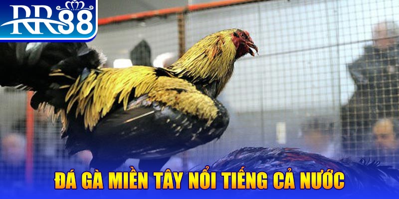 vnz66 xổ số đại phát
