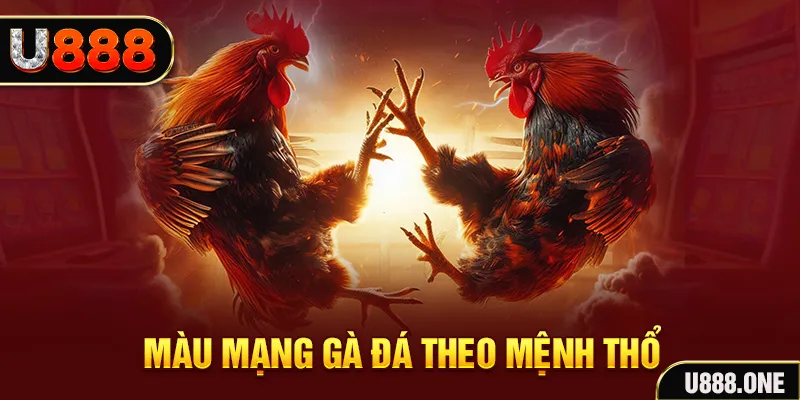 vnz66 đăng nhập sòng bạc hàng đầu