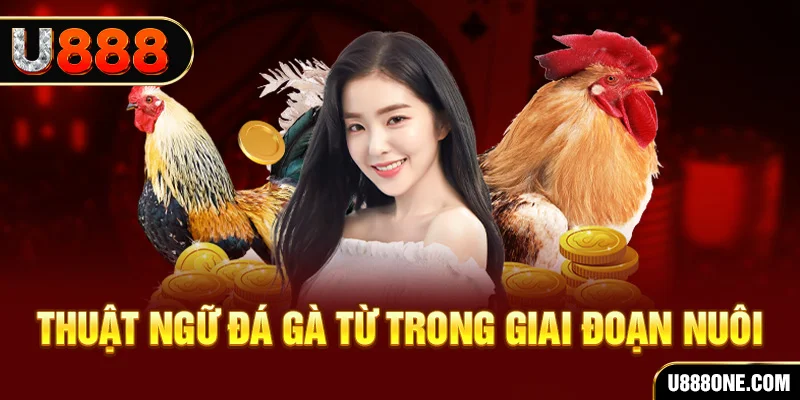 vnz66 xổ số miền bắc 90 ngày