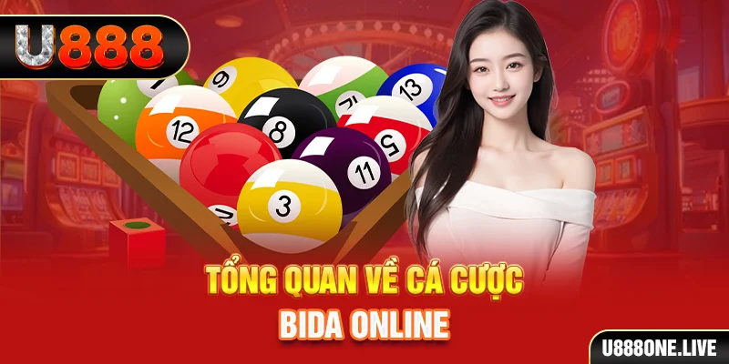 vnz66 kết quả xổ số kiến thiết miền bắc