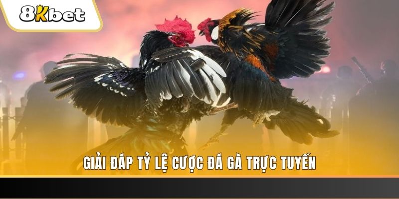 vnz66 ga choi cau thanh