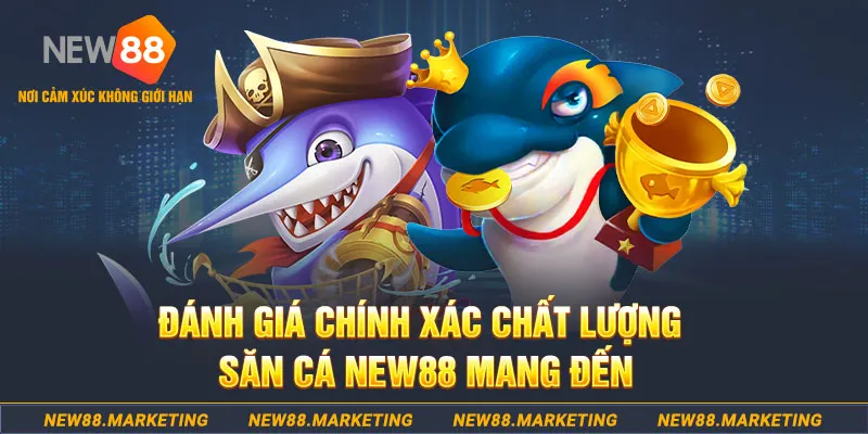 vnz66 đăng nhập mậu binh mới nhất
