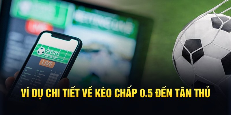 vnz66 RTG Game Bài 3d