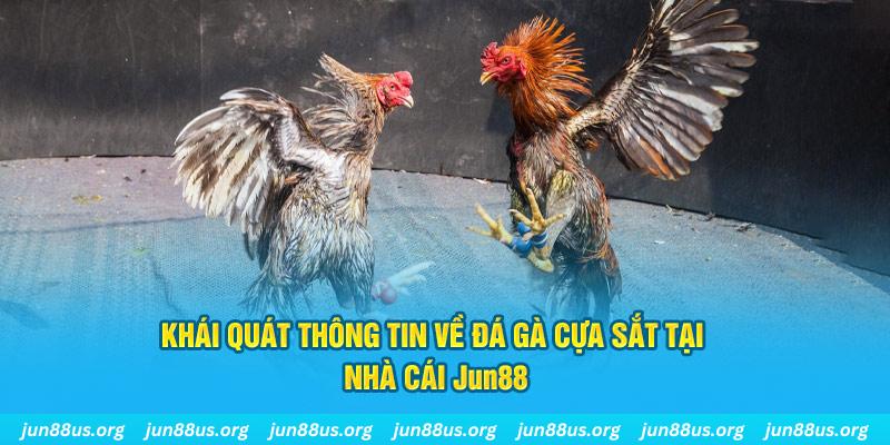 vnz66 xổ số miền bắc thứ bảy hàng tuần