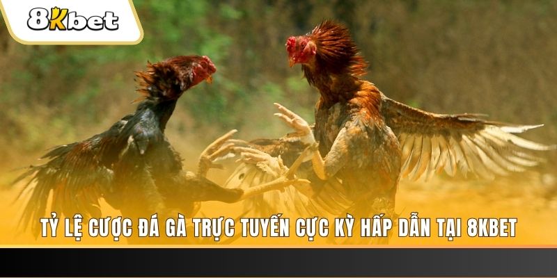 vnz66 đăng nhập nổ hũ trực tuyến