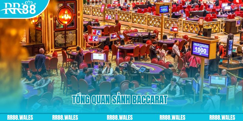 vnz66 what is a casino jackpot