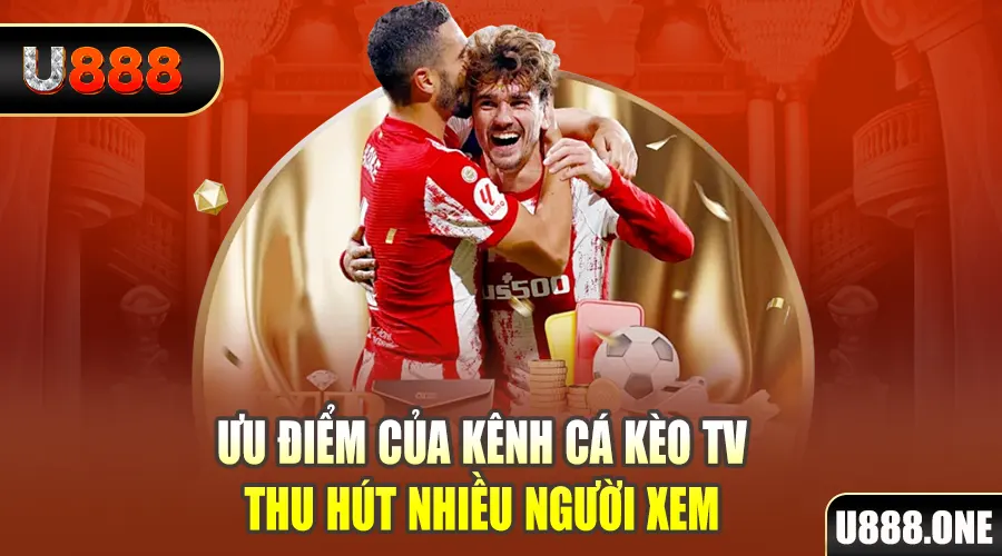 vnz66 gà chọi cu cần