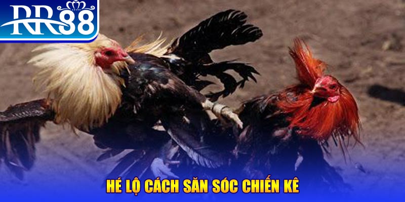 vnz66 xổ số miền trung thứ tư