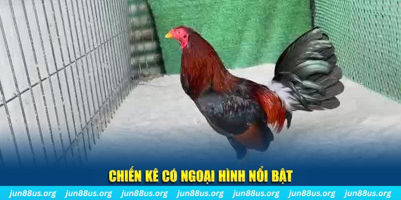 vnz66 game bắn cá