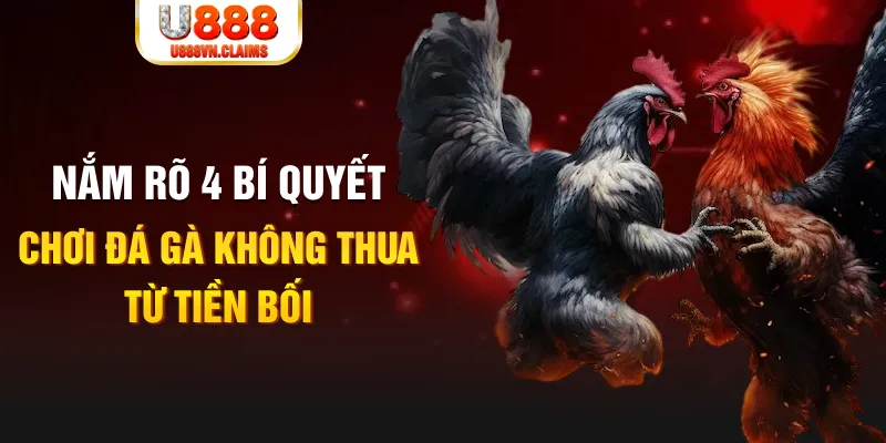 vnz66 đăng nhập poker live