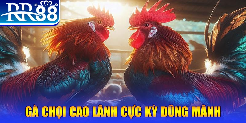 vnz66 HB Điện Tử