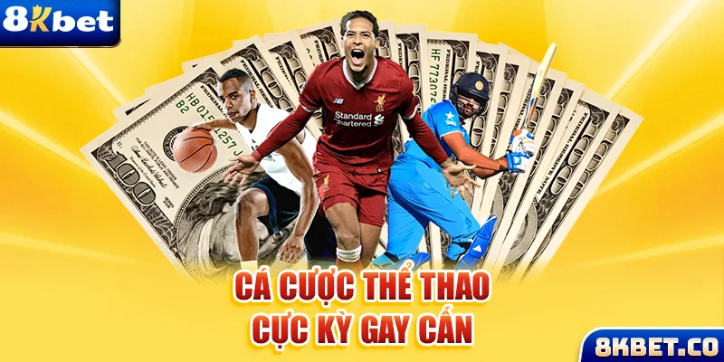 vnz66 xem đá gà trực tiếp